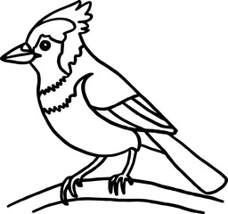 blue jay coloring outline