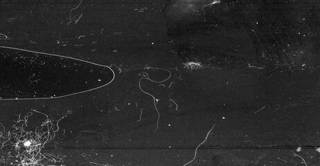 Scratched scanned texture of old film with noise and dust.