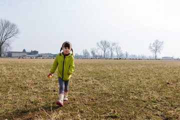Naklejka na ściany i meble small girl with two braids walking in the field with flock of sheeps behind