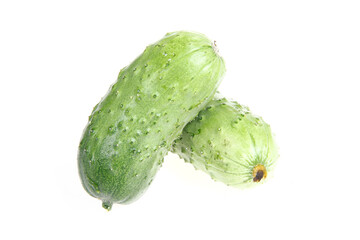 Fresh cucumber on the white background color