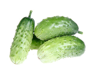 Fresh cucumber on the white background color