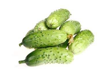 Fresh cucumber on the white background color
