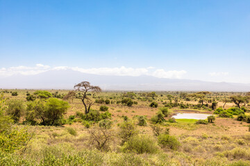Mount Kilimanjaro in Kenya Amboseli National Park.