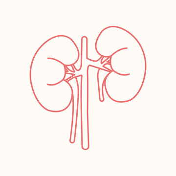 recommend clip art: world kidney day element design, kidney line art
