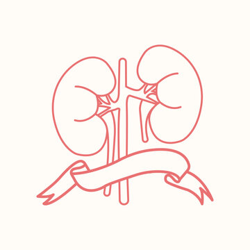 recommend clip art: world kidney day element design, line art kidney with ribbon