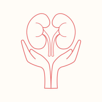 recommend clip art: world kidney day element design, kidney line art