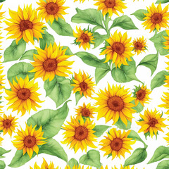 Seamless pattern sunflower flowers watercolor illustration