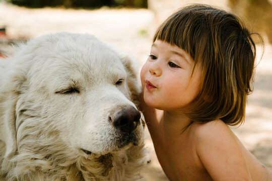 Sweet Toddler affectionately kisses old white dog