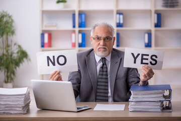 Old male employee working in the office