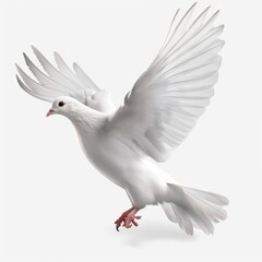  a white bird with its wings spread out and spread out.  generative ai