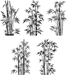 Bamboo Vector Set Black and White 