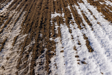 agricultural field for planting plants in winter