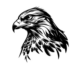 Hawk Face, Silhouettes Hawk Face SVG, black and white Hawk vector