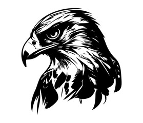 Obraz premium Hawk Face, Silhouettes Hawk Face SVG, black and white Hawk vector