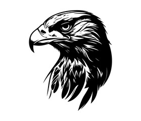Hawk Face, Silhouettes Hawk Face SVG, black and white Hawk vector