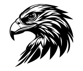 Hawk Face, Silhouettes Hawk Face SVG, black and white Hawk vector