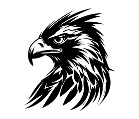 Hawk Face, Silhouettes Hawk Face SVG, black and white Hawk vector