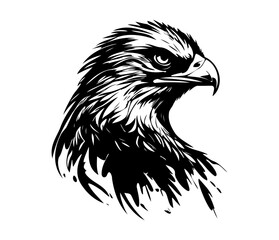 Hawk Face, Silhouettes Hawk Face SVG, black and white Hawk vector