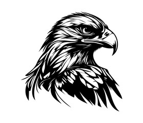 Hawk Face, Silhouettes Hawk Face SVG, black and white Hawk vector