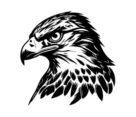 Hawk Face, Silhouettes Hawk Face SVG, black and white Hawk vector