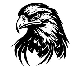 Hawk Face, Silhouettes Hawk Face SVG, black and white Hawk vector