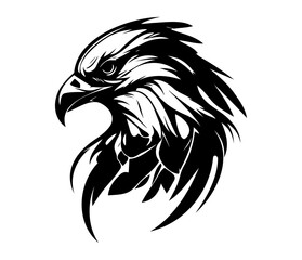 Hawk Face, Silhouettes Hawk Face SVG, black and white Hawk vector