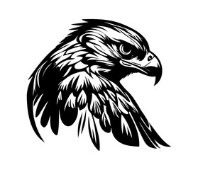 Hawk Face, Silhouettes Hawk Face SVG, black and white Hawk vector
