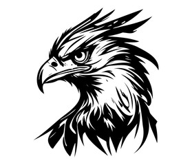 Hawk Face, Silhouettes Hawk Face SVG, black and white Hawk vector
