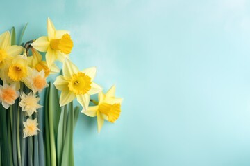 Fototapeta na wymiar yellow daffodils against a blue background with green stems. generative ai