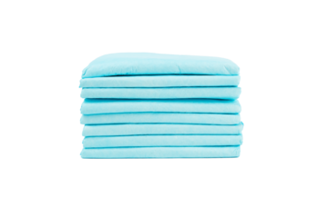 Dog toilet, pet absorbent diaper pad isolated