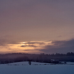 A misty morning on the countryside, Toten, Norway, in spring.