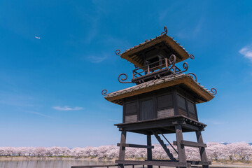 唐古・鍵遺跡史跡公園　楼閣と桜並木