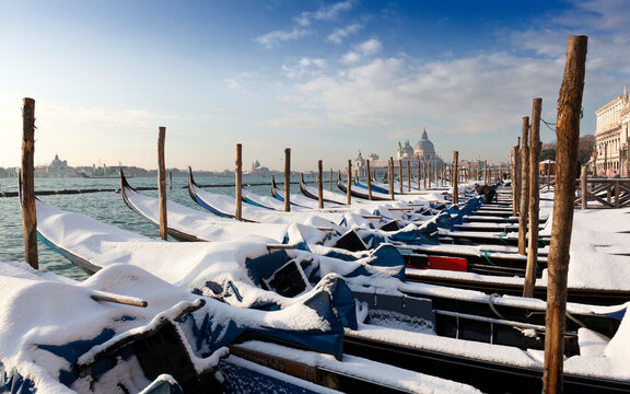 Venezia. Gondole al palo dopo la nevicata nel bacino di San Marco verso La Salute