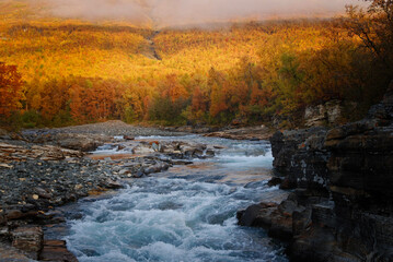 Flowing water in autumn. Abisko national park in north of Sweden.