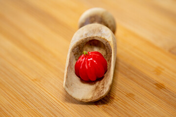 Pitanga (Eugenia uniflora), Brazilian exotic ripe fruit in fine detail.