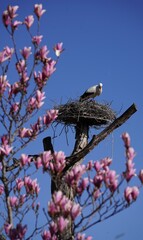 a sunny day at the zoo