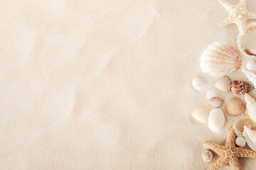 Top view of a sandy beach with collection of white and beige seashells and starfish as natural textured background for summer travel design - 593195202