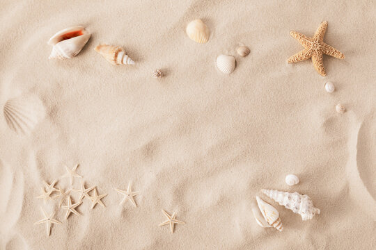 Sandy beach with collections of white and beige seashells and starfish as natural textured background for summer holiday and vacations concept.