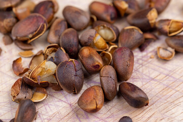 a bunch of pine nuts in the shell