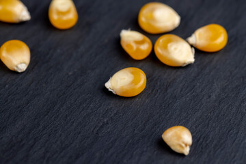 dry corn for cooking and popcorn
