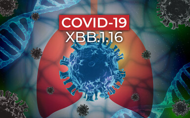 Covid 19 virus,SARS-CoV-2 Coronavirus variant omicron XBB.1.16. Microscopic view of infectious virus cells in lungs .3D rendering