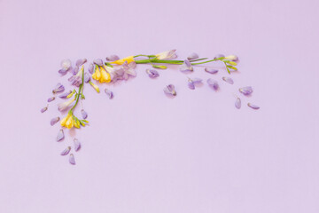 wisteria and freesia flowers on purple background