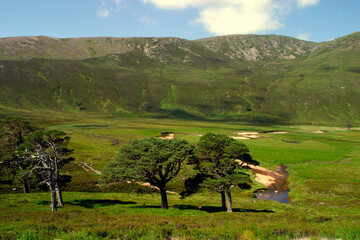 Ascent path to Ben Mac Dhui - Scotland - UK