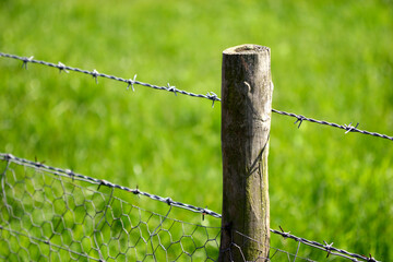 Pole and barbed wired - fencing