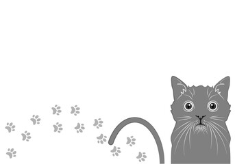 hand drawn vector cute cat illustration character collection