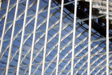 Detail greenhouse structure - Mukross house park - Killarney - Kerry - Ireland