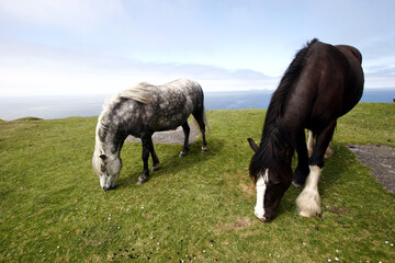 Bray Head - Valentia Island - Kerry - Ireland