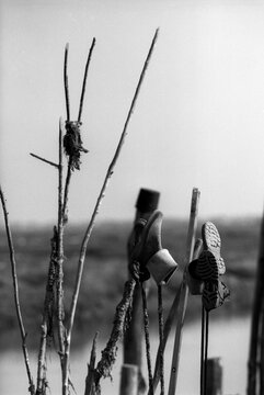Walking boots on poles - Coux - La Tremblade - Charentes Maritimes - France