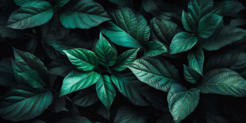 a dark background of green leaves with a pattern,