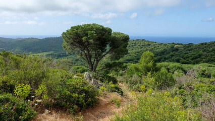 Gassin in Südfrankreich